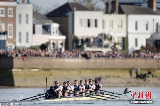 英名校聯(lián)盟23所大學(xué)曝學(xué)術(shù)造假丑聞 涉抄襲捏造