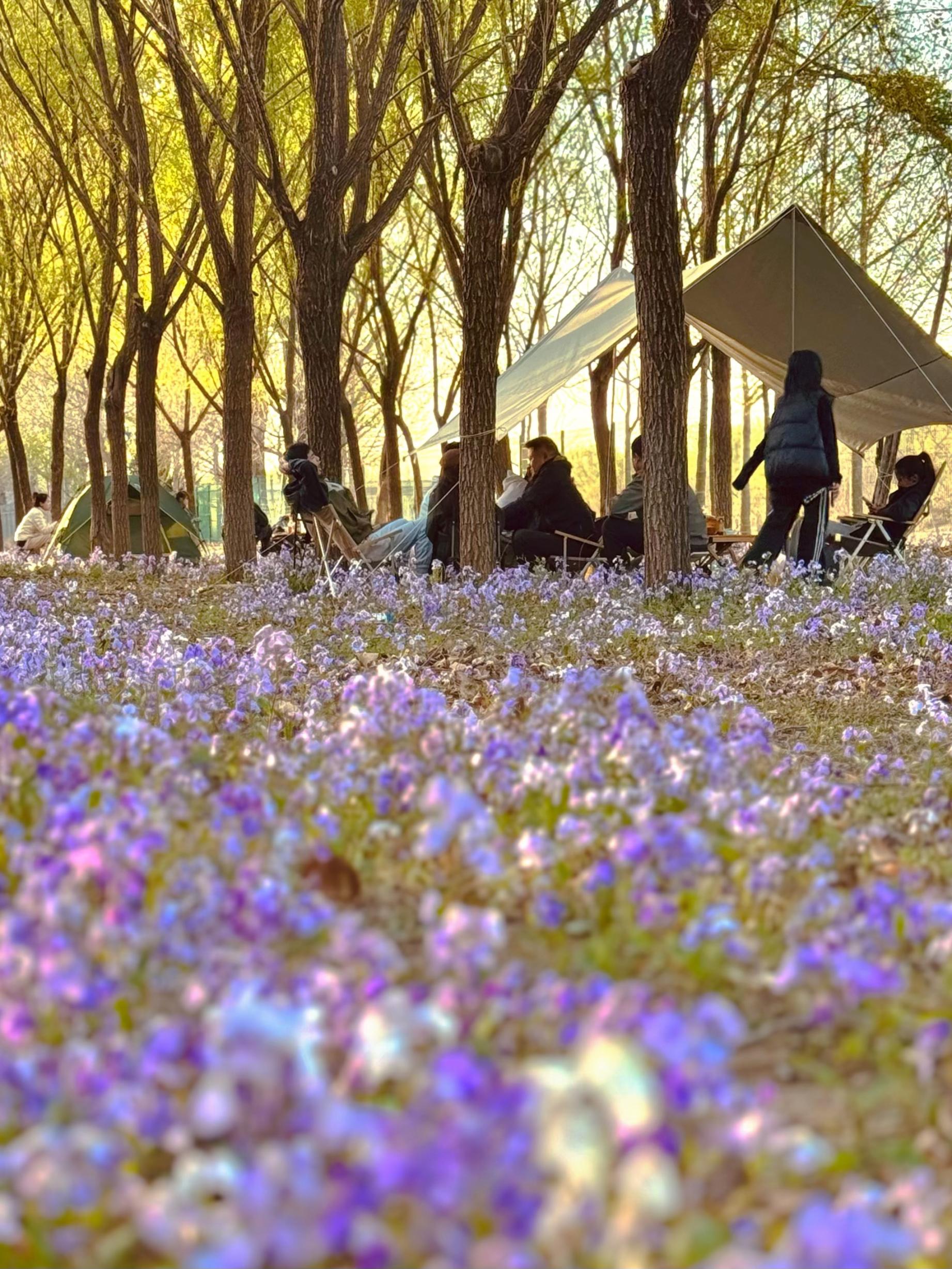 清明假期期間，范女士一家在北京溫榆河邊露營(yíng)。受訪者供圖